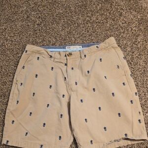 Vans Tan and Blue Flat Front Shorts Size 36